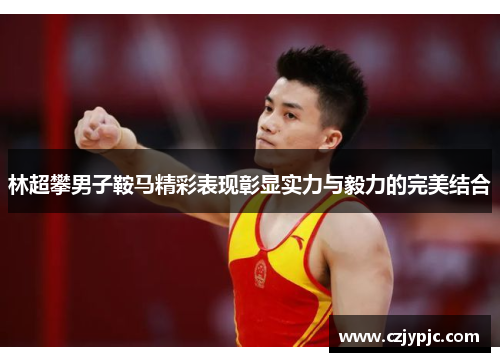 林超攀男子鞍马精彩表现彰显实力与毅力的完美结合
