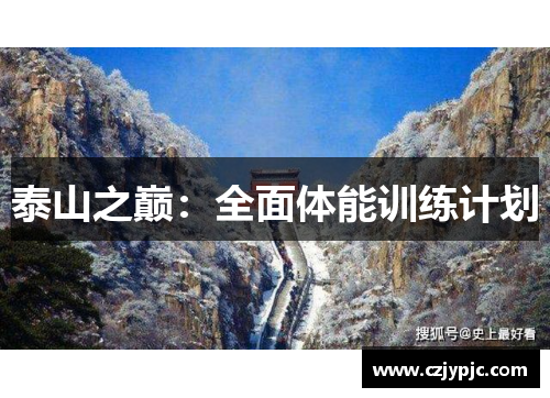 泰山之巅：全面体能训练计划